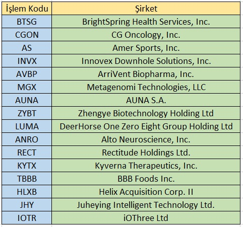 Yakın Dönem ABD Halka Arz Listesi