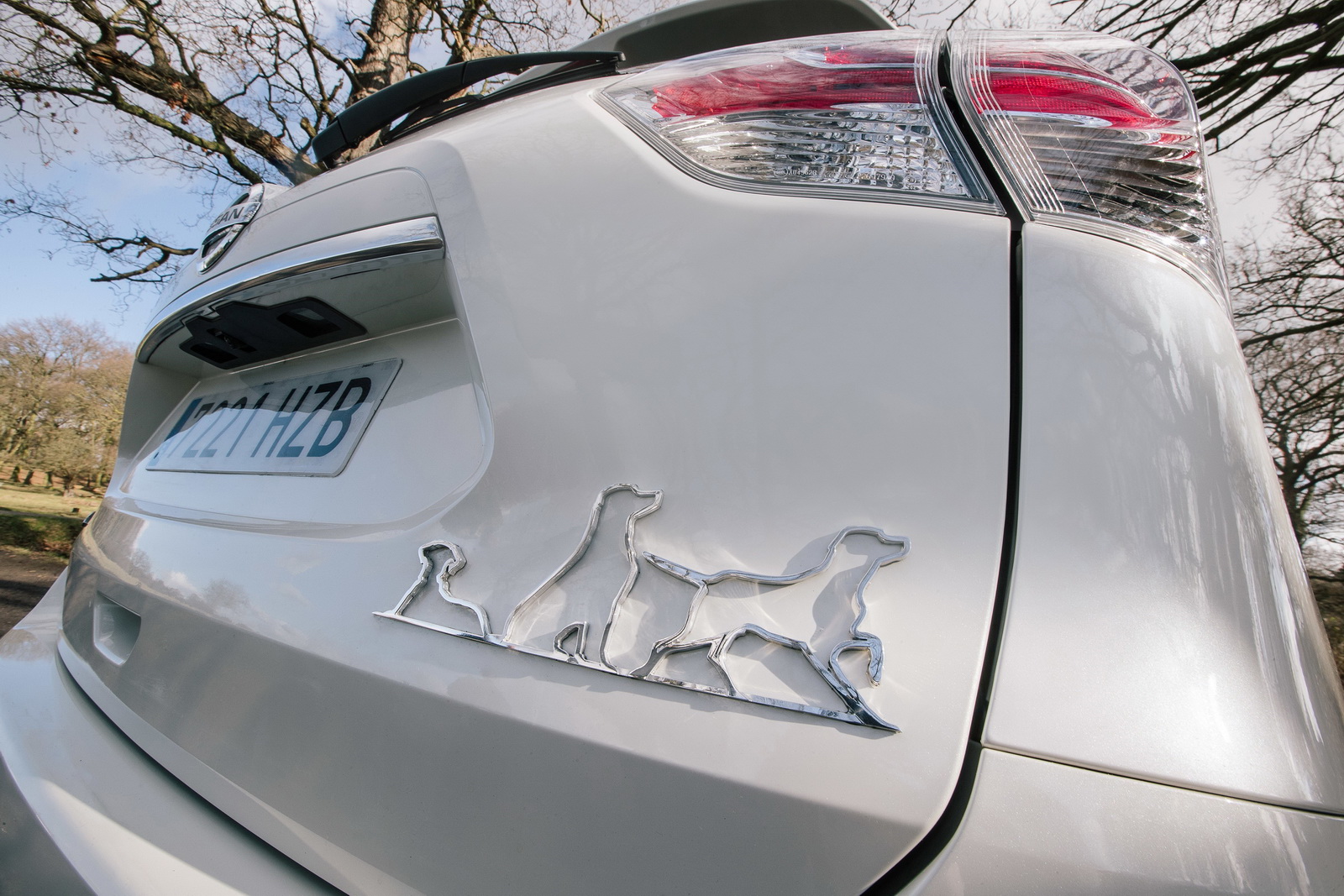 Köpek sahiplerine özel Nissan X-Trail konsepti