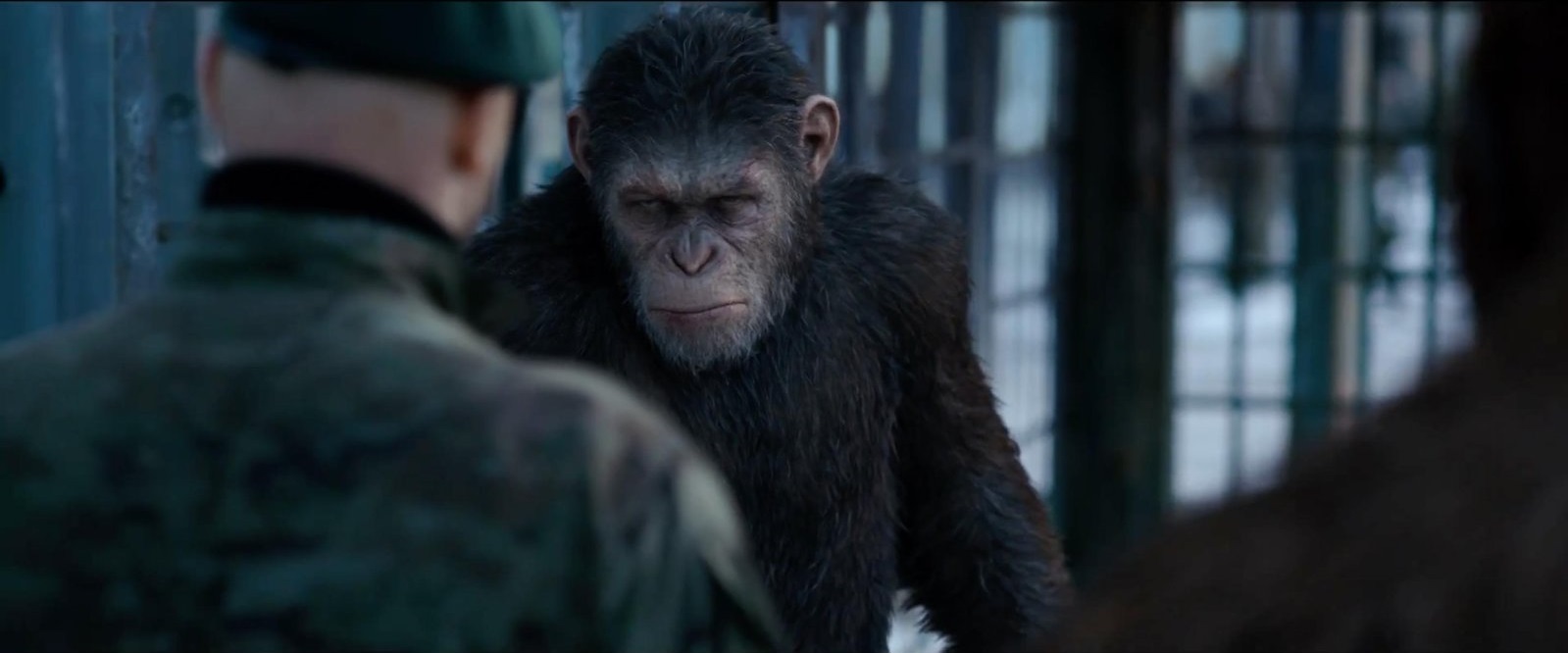 War for the Planet of the Apes gösterime girdi