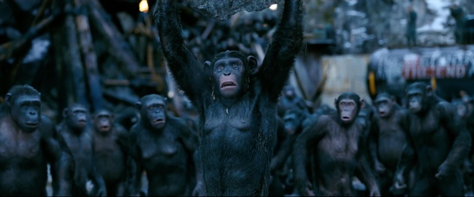 War for the Planet of the Apes gösterime girdi