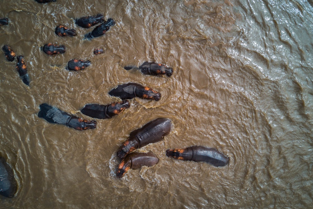 2017'de drone ile çekilmiş en iyi 20 fotoğraf