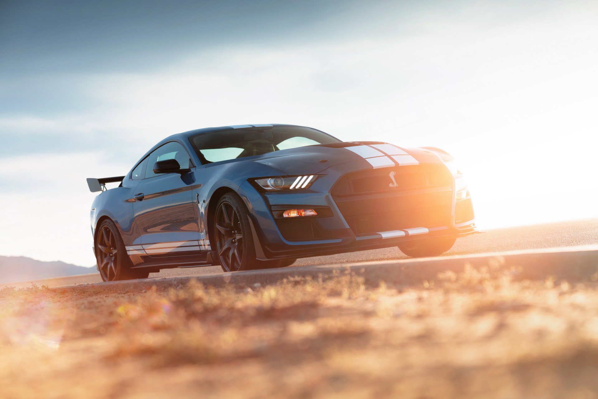 2019 Ford Shelby GT500 tanıtıldı: 