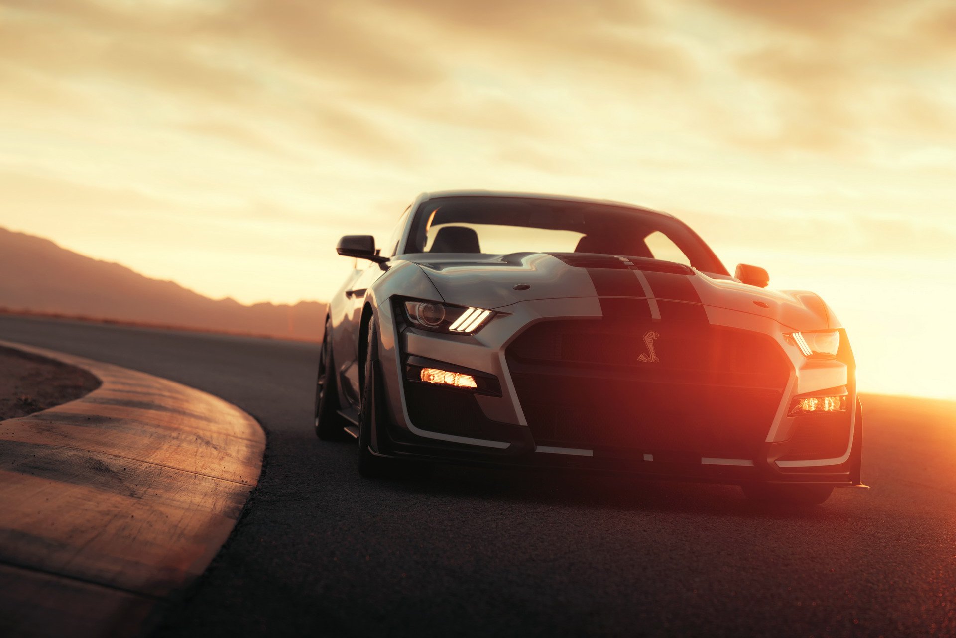 2019 Ford Shelby GT500 tanıtıldı: 