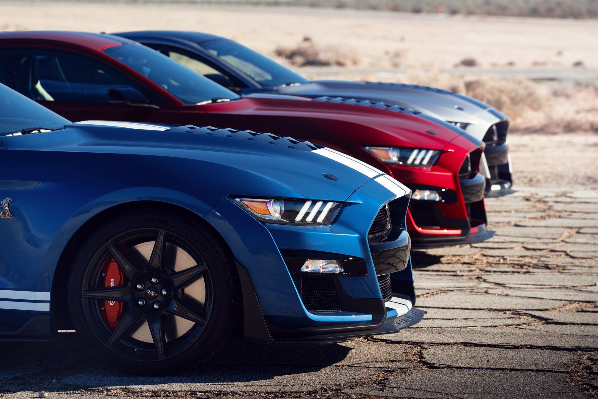 2019 Ford Shelby GT500 tanıtıldı: 