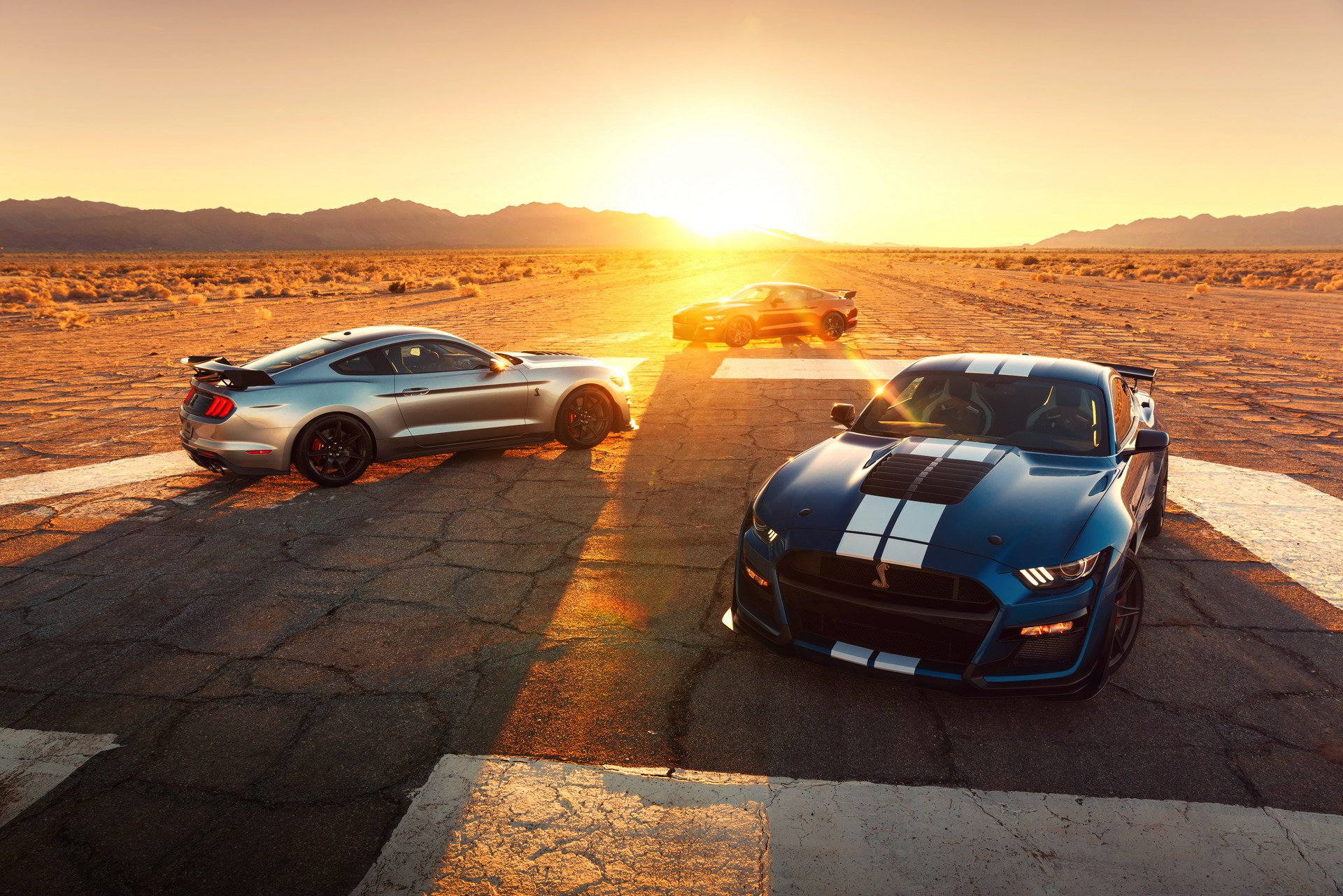 2019 Ford Shelby GT500 tanıtıldı: 