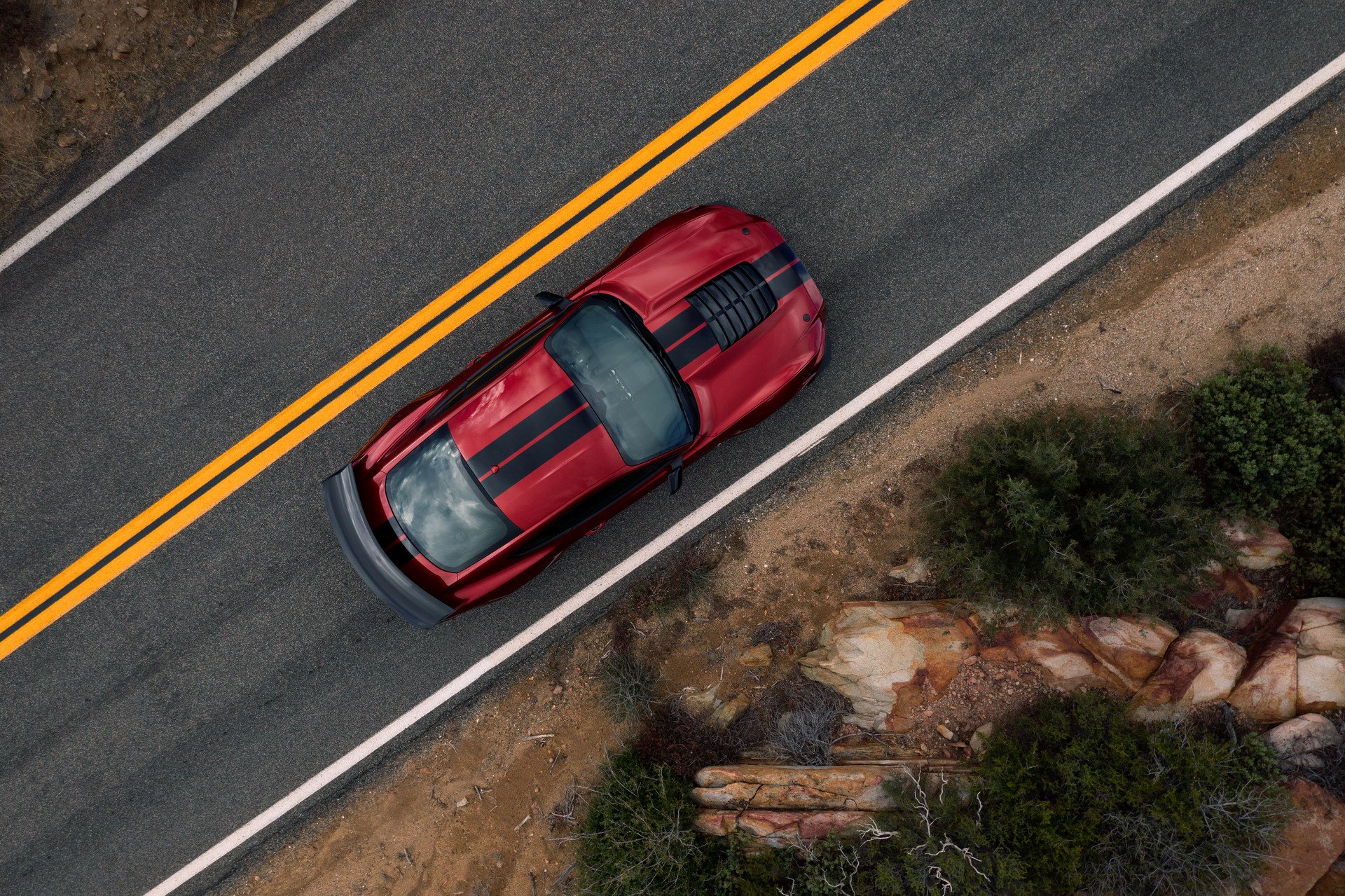 2019 Ford Shelby GT500 tanıtıldı: 