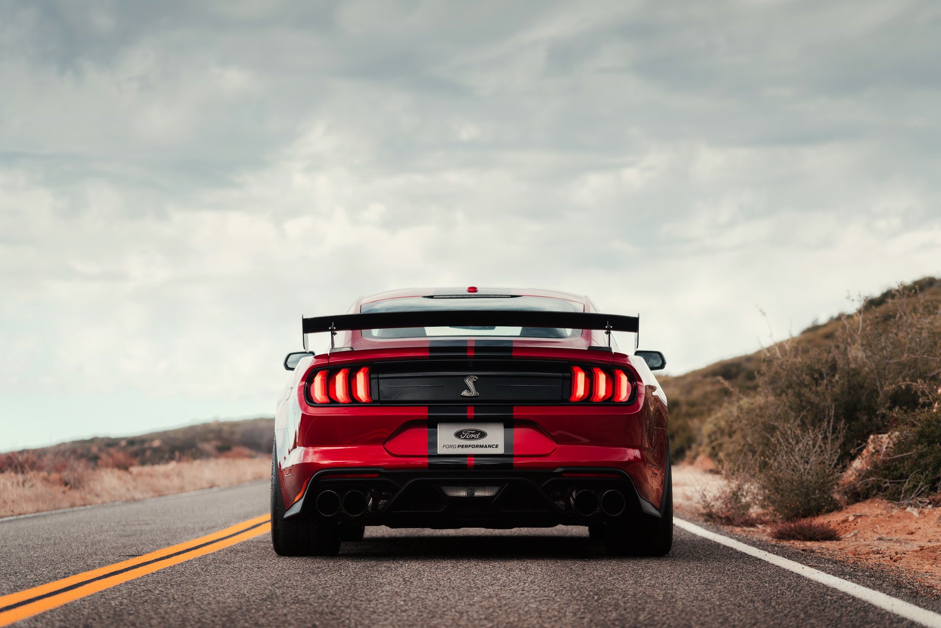 2019 Ford Shelby GT500 tanıtıldı: 