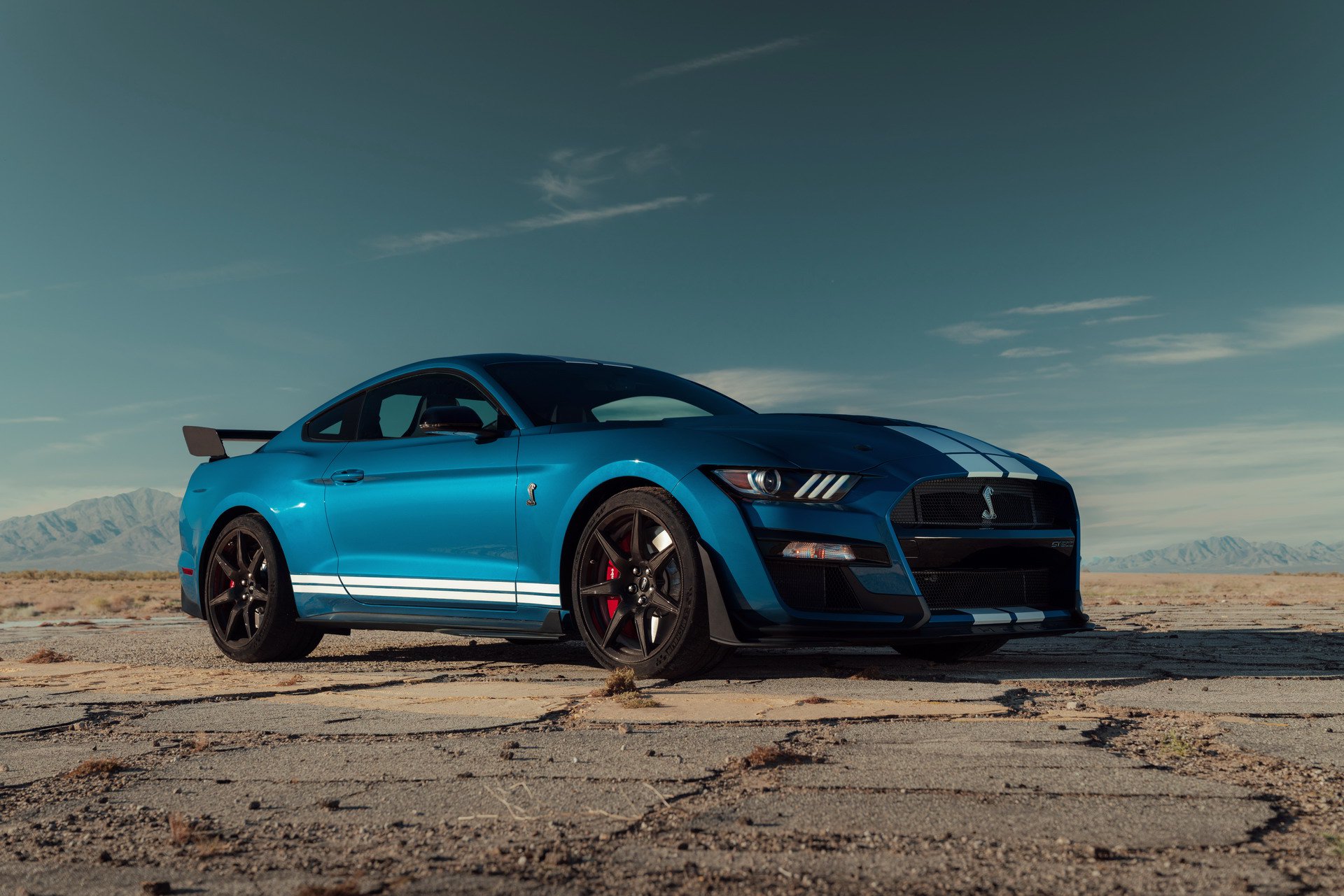 2019 Ford Shelby GT500 tanıtıldı: 