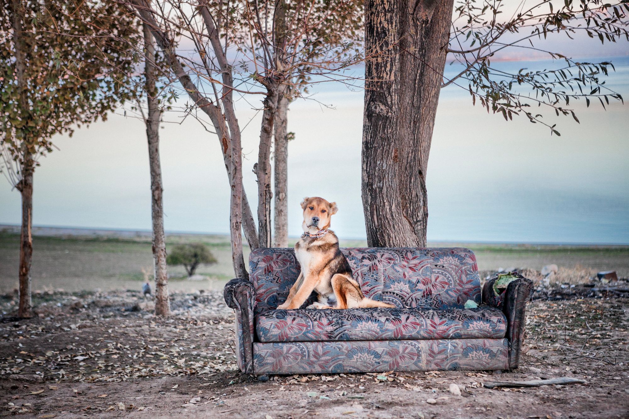 WeTransfer, Türk fotoğrafçı Nadir Buçan'ın eserlerini paylaştı