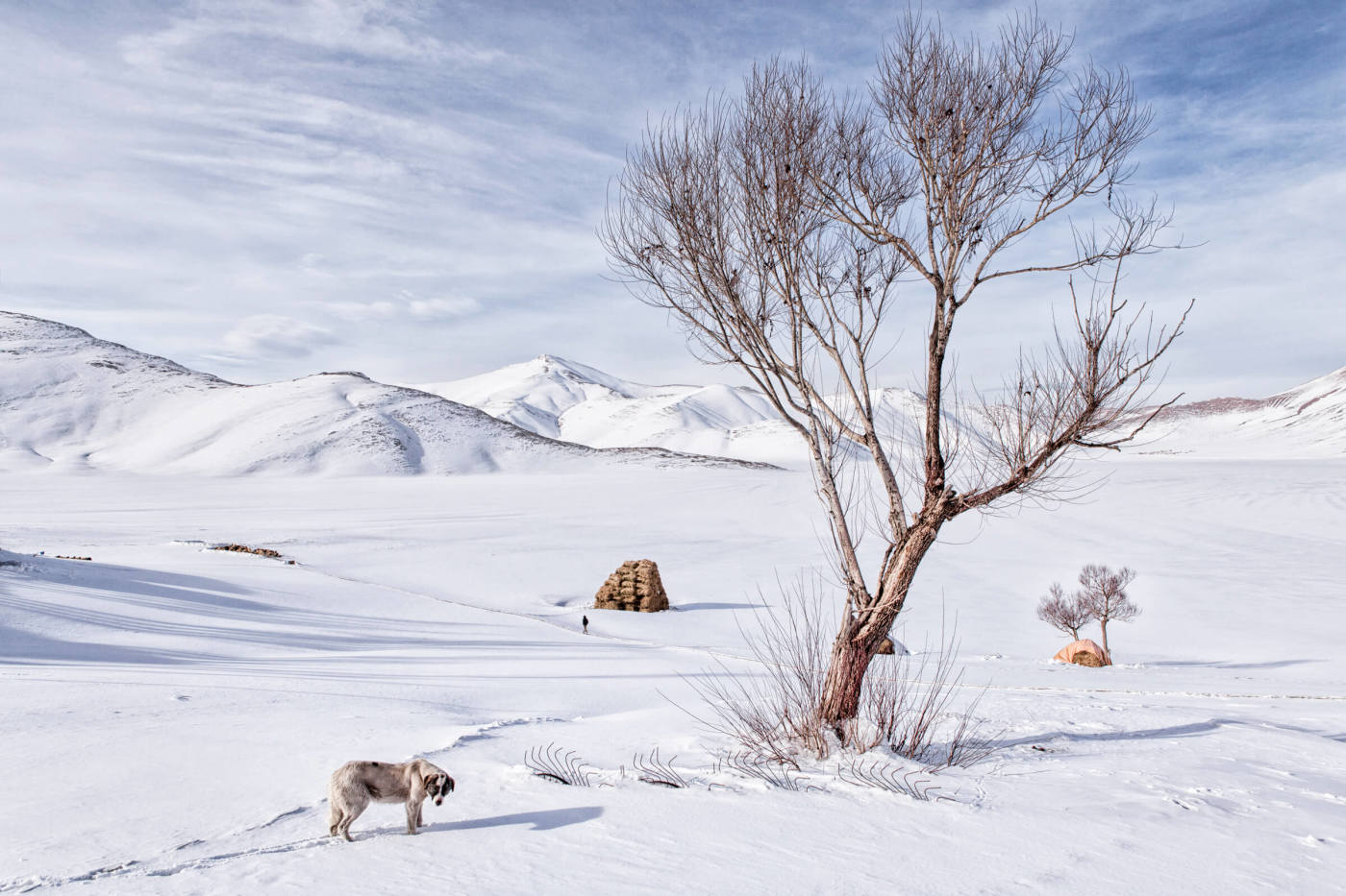 WeTransfer, Türk fotoğrafçı Nadir Buçan'ın eserlerini paylaştı