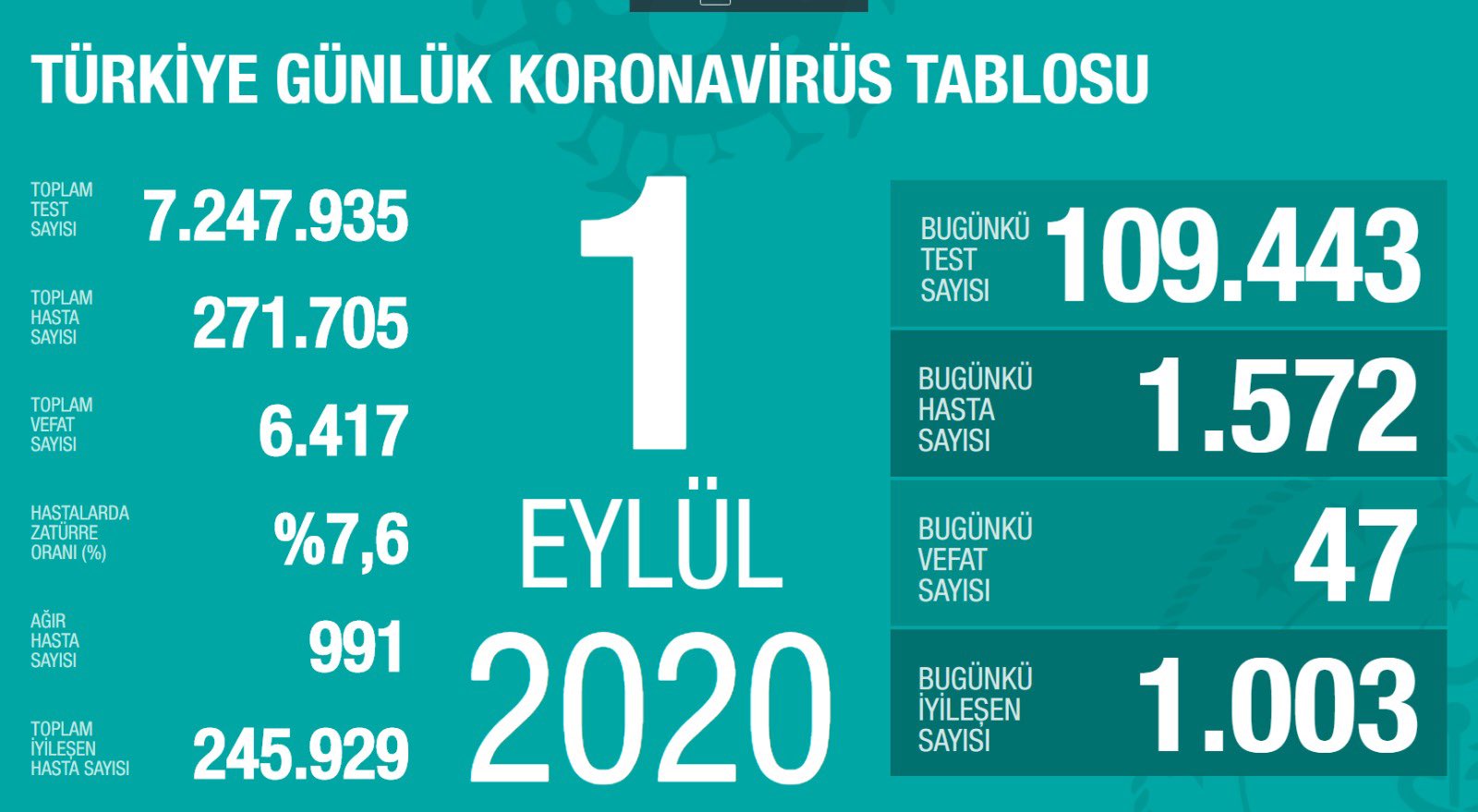 Koronavirüs vaka ve ölü sayıları