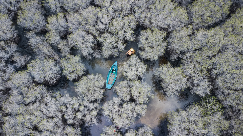 50 farklı final yarışmacısı arasından yapılan halk oylaması ile büyük ödüle layık görülen amatör fotoğrafçı Analiza Daran De Guzman, dül alan fotoğrafı Samsung marka akıllı telefomn ile çekti.   