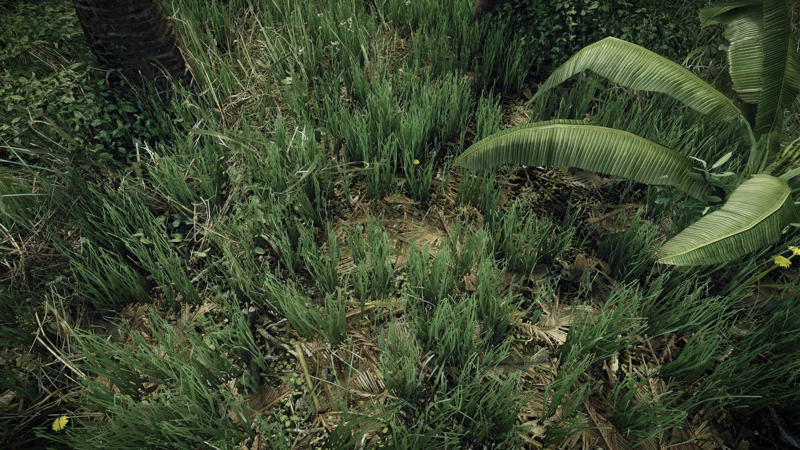 Crysis'in en iyi grafik modu Enhanced Edition'ın yeni güncellemesinden ilk görseller geldi
