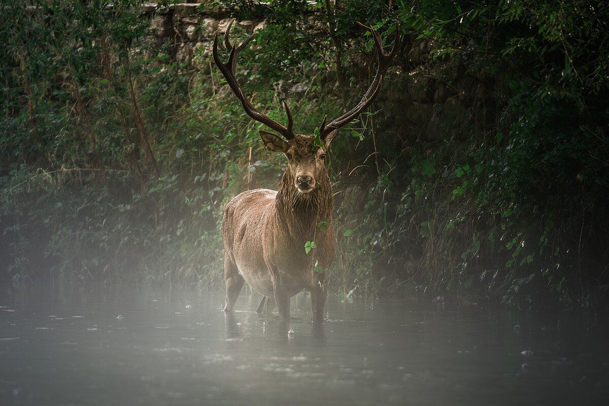 Wikipedia fotoğraf yarışmasına Burdur damgası