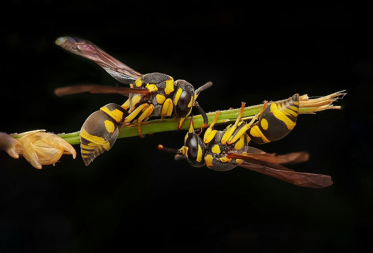 Wikipedia fotoğraf yarışmasına Burdur damgası