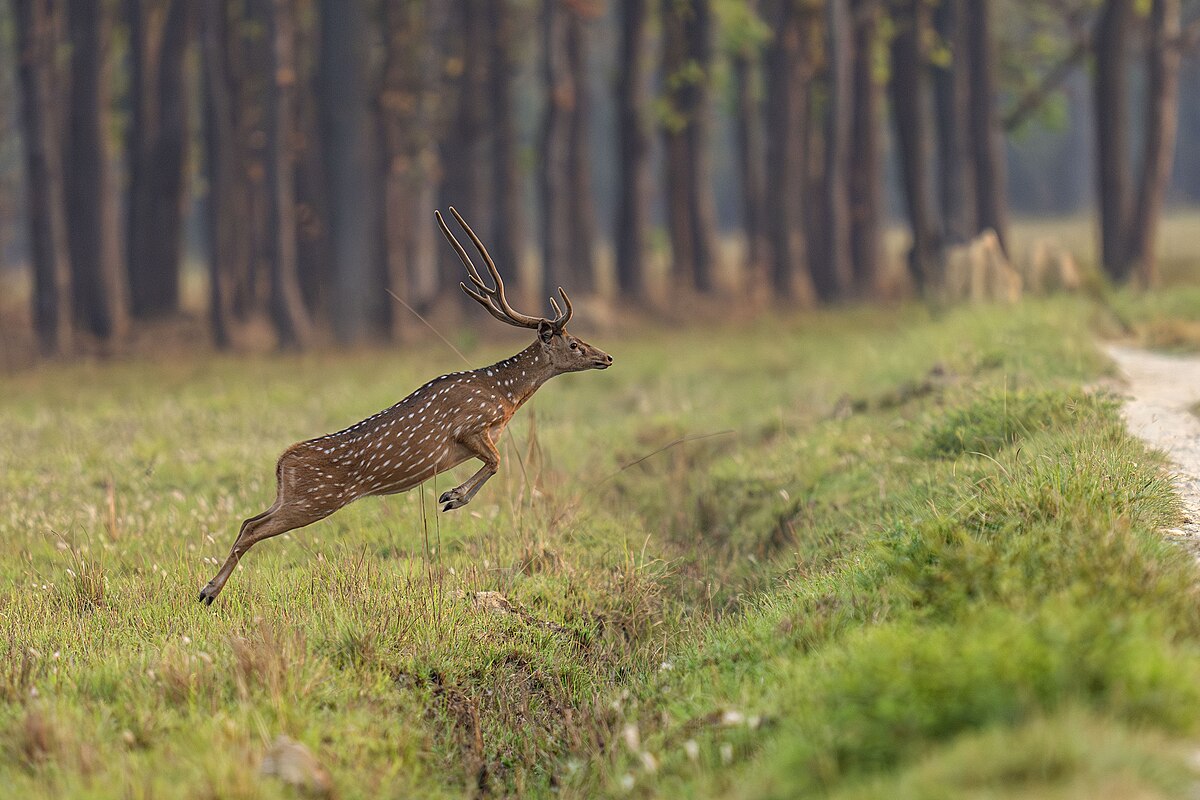 Wikipedia fotoğraf yarışmasına Burdur damgası
