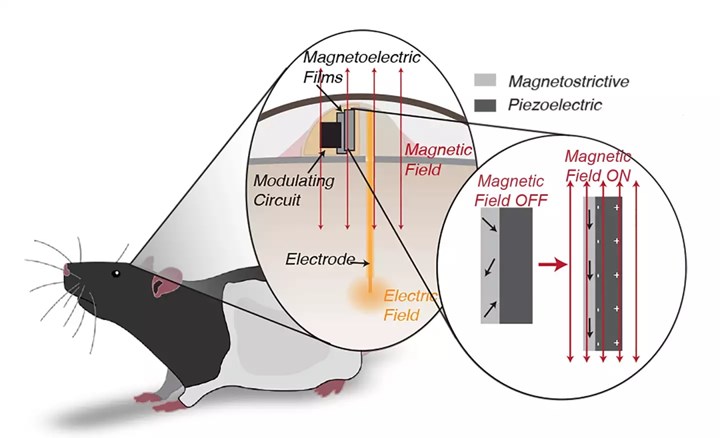 Manyetik alan ile çalışan beyin implantı geliştirildi