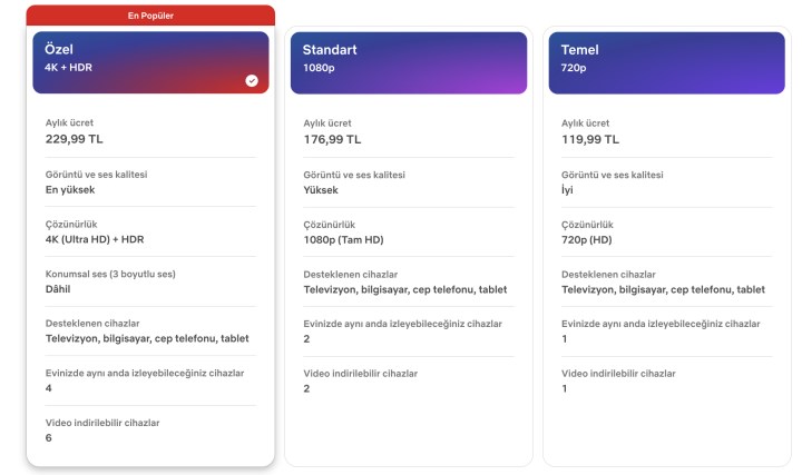 netflix fiyat