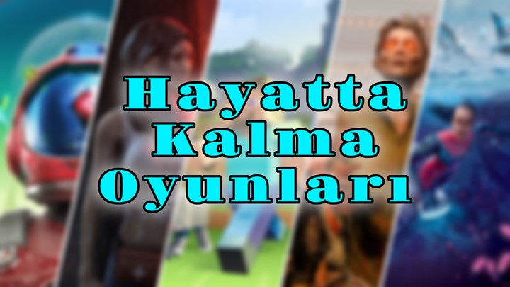 Hayatta kalma oyunu