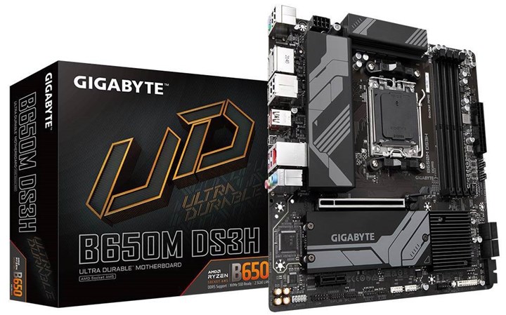 Gigabyte B650M DS3H