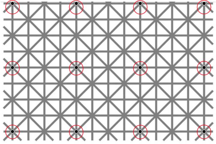 İnternet dünyasını sallayan optik illüzyon: Bu 12 noktayı neden göremiyorsunuz?