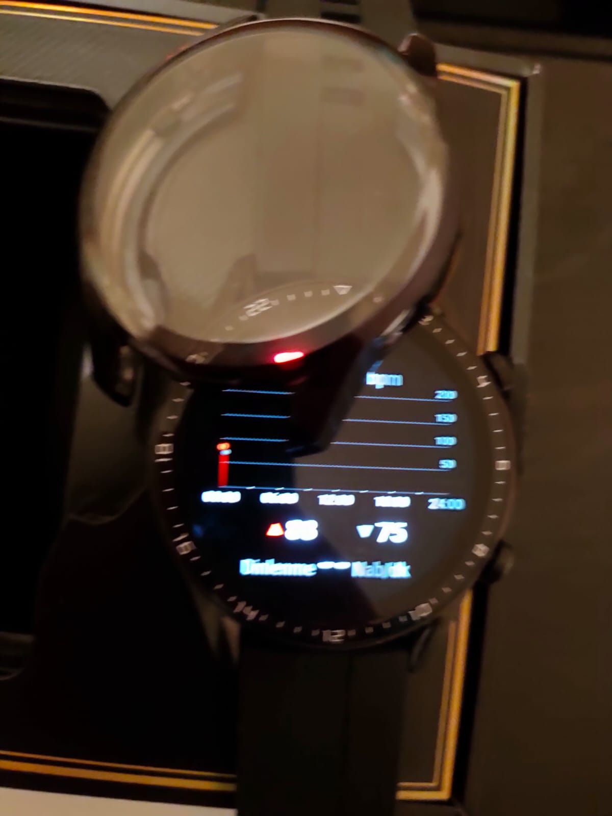 Huawei Watch GT 2 + Araba Şarj Cihazı + Koruma (10 günlük)