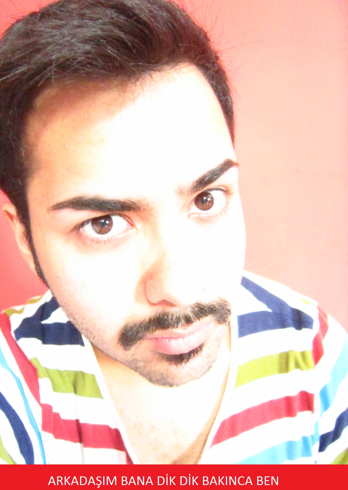 Profil satanist döven kedi